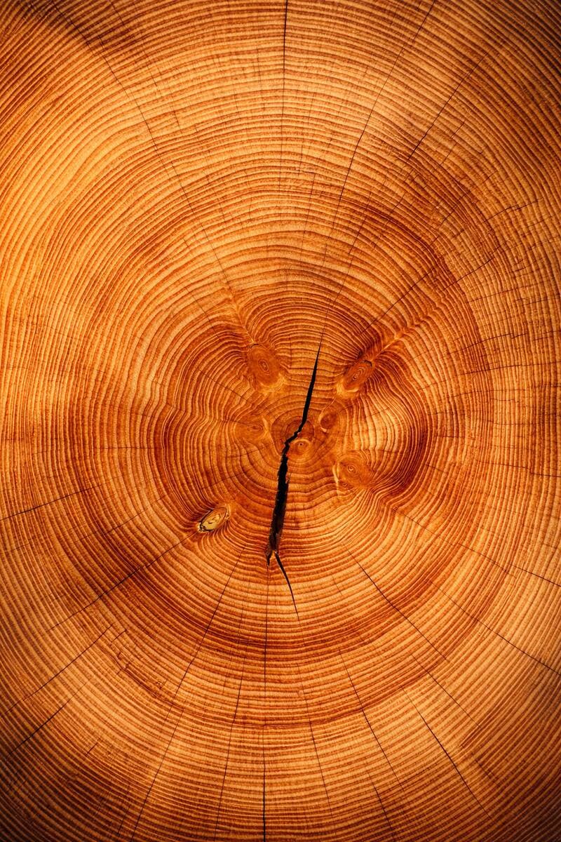 Wood texture